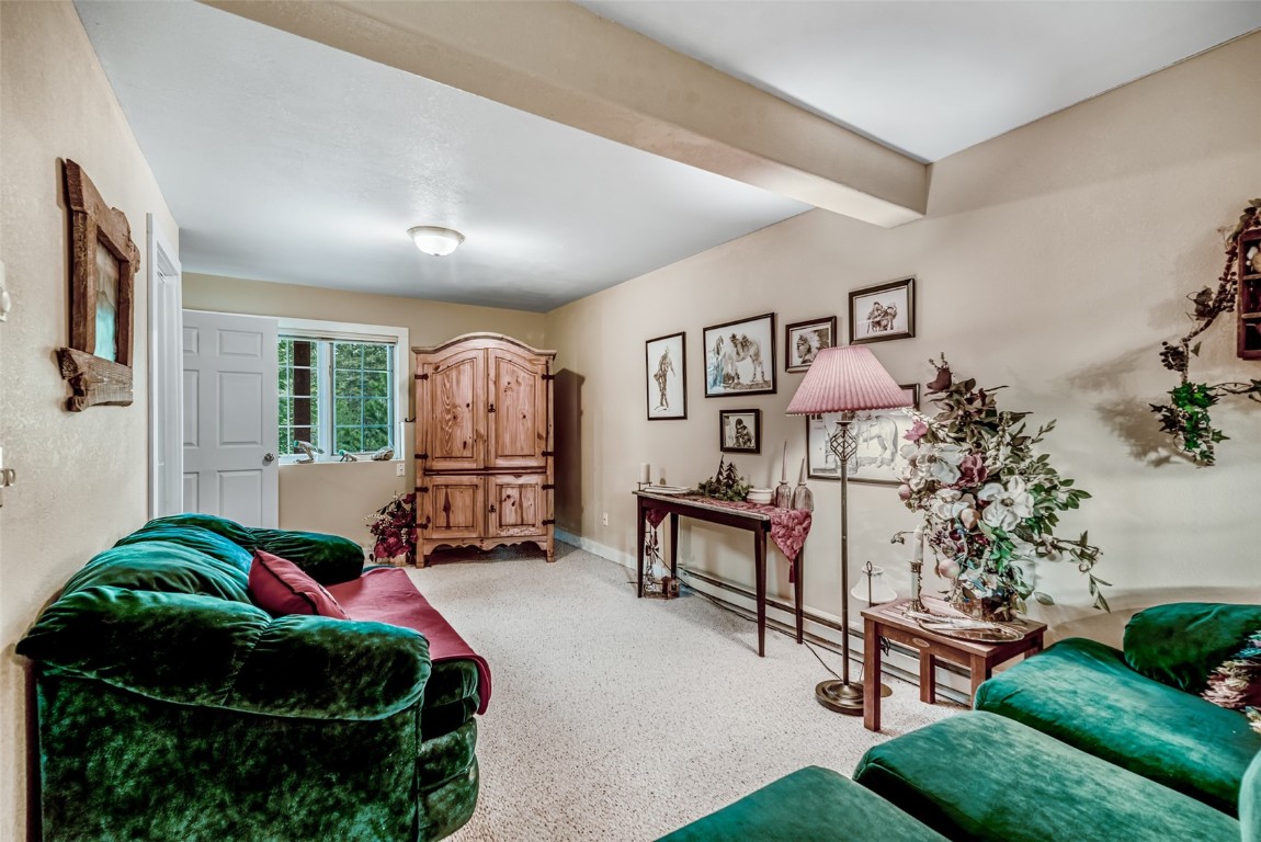 664 Tonkawa Road Hartsel, CO 80449 - Photo 31 of 50 Gallery Image 31