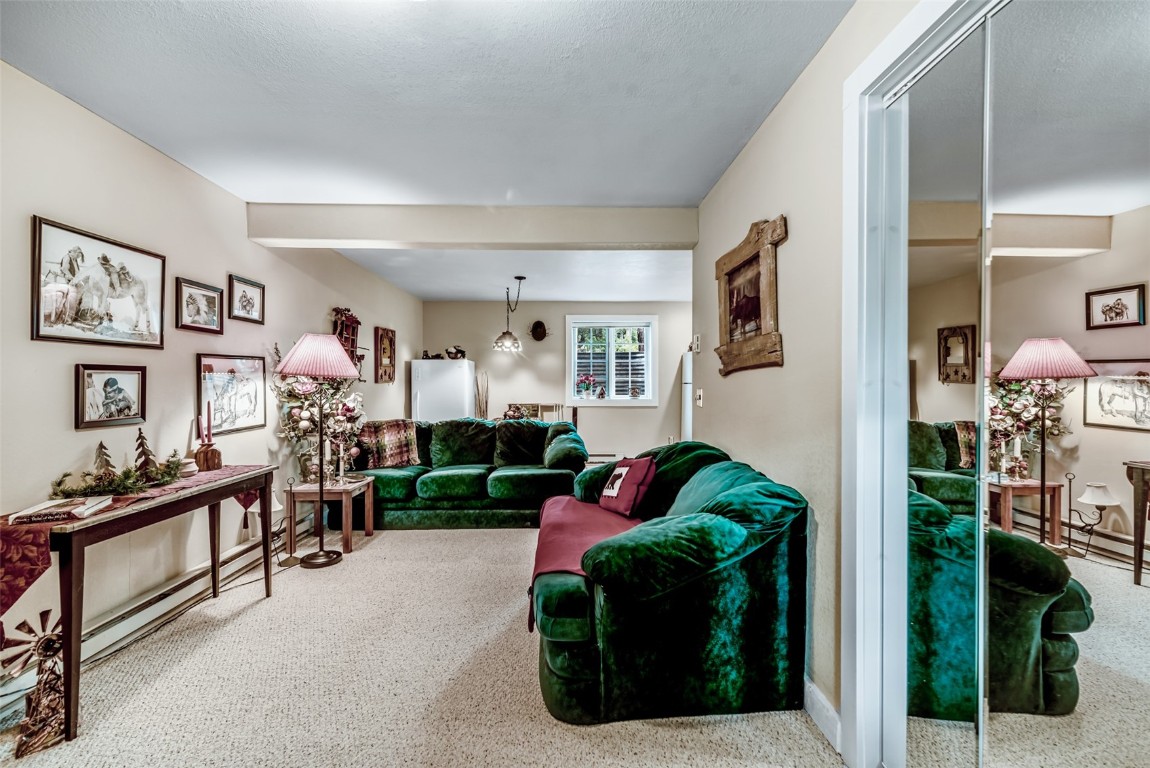 664 Tonkawa Road Hartsel, CO 80449 - Photo 36 of 50 Gallery Image 36