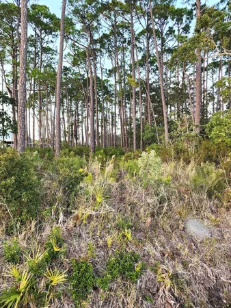 $179,000 | 747 Highway 98, Eastpoint, FL 32328