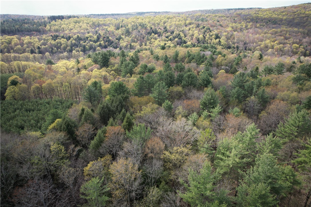 West Creek Road Richford, NY 13835 - Photo 30 of 44