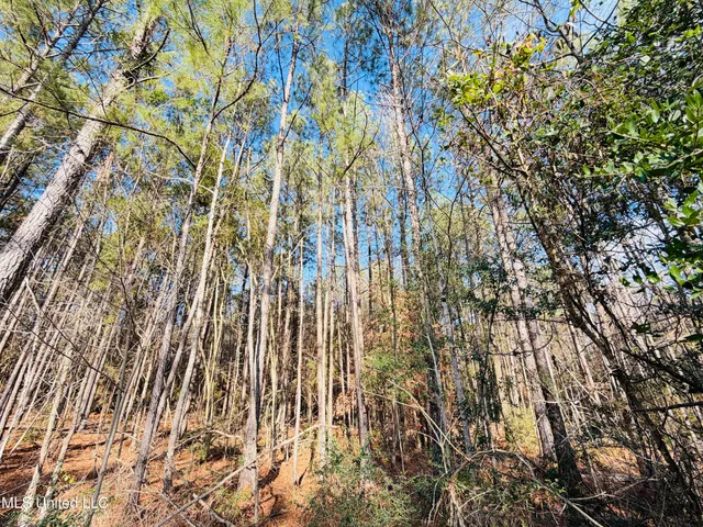 $79,000 | Mallard Trail Summit, Summit, MS 39666