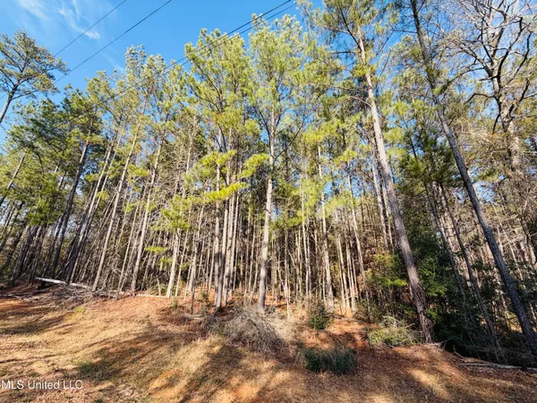 $79,000 | Mallard Trail Summit, Summit, MS 39666