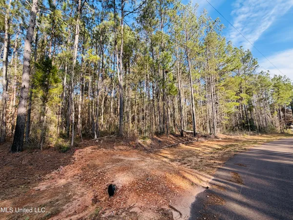 $79,000 | Mallard Trail Summit, Summit, MS 39666
