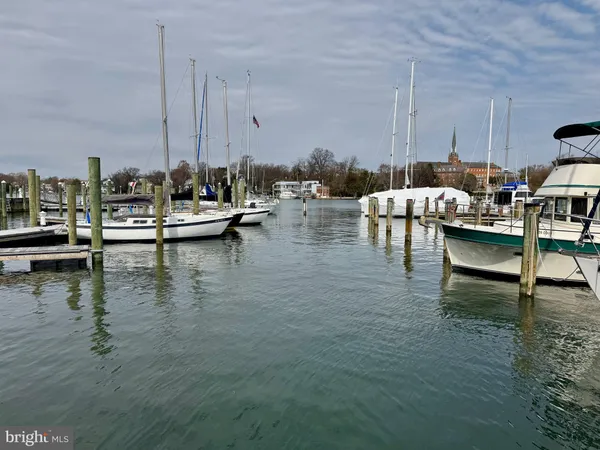 a view of water with boats and palm trees