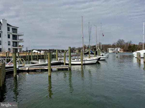a view of a lake with boats and trees