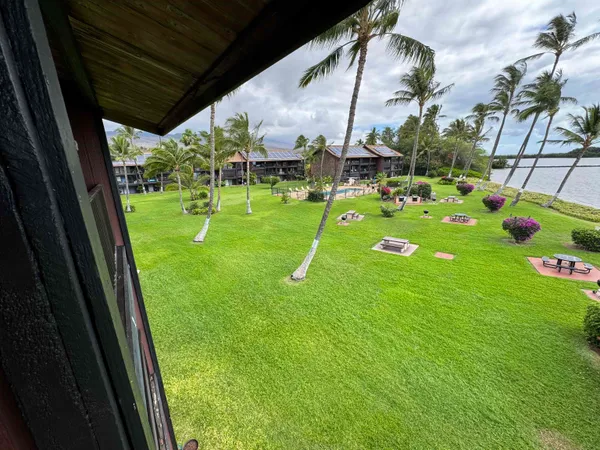 a view of yard with green space