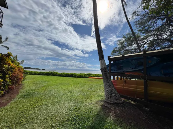 a view of a back yard