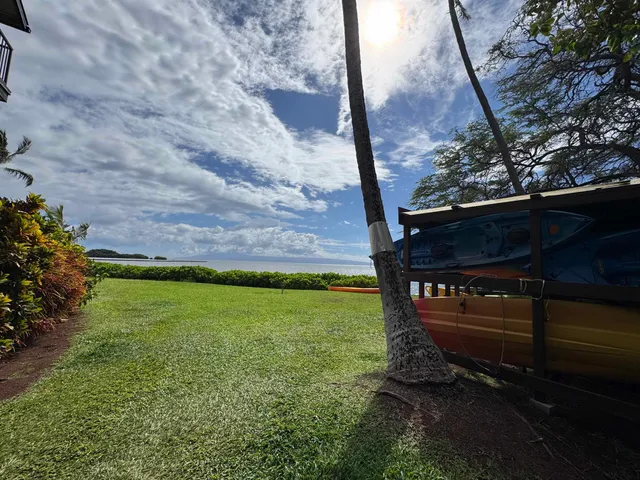 a view of a back yard