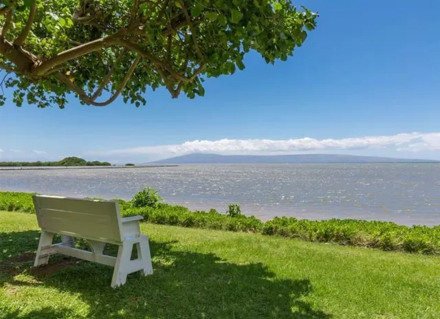 a view of a lake with a yard