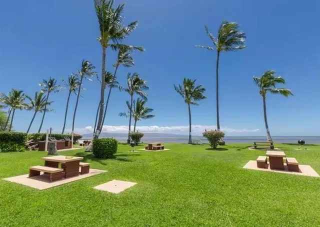 a view of a garden with a slide
