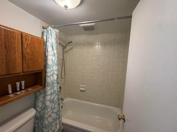 a bathroom with a shower and a bath tub