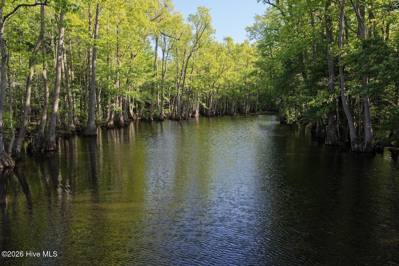 0 Kirkman Road Robersonville, NC 27871 - Photo 23 of 31 29