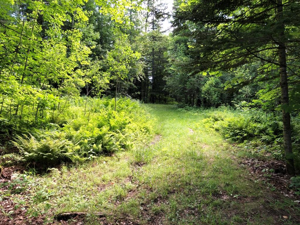 6 Oak Ridge Road Shirley Mills, ME 04485 - Photo 17 of 20 IMG_0628