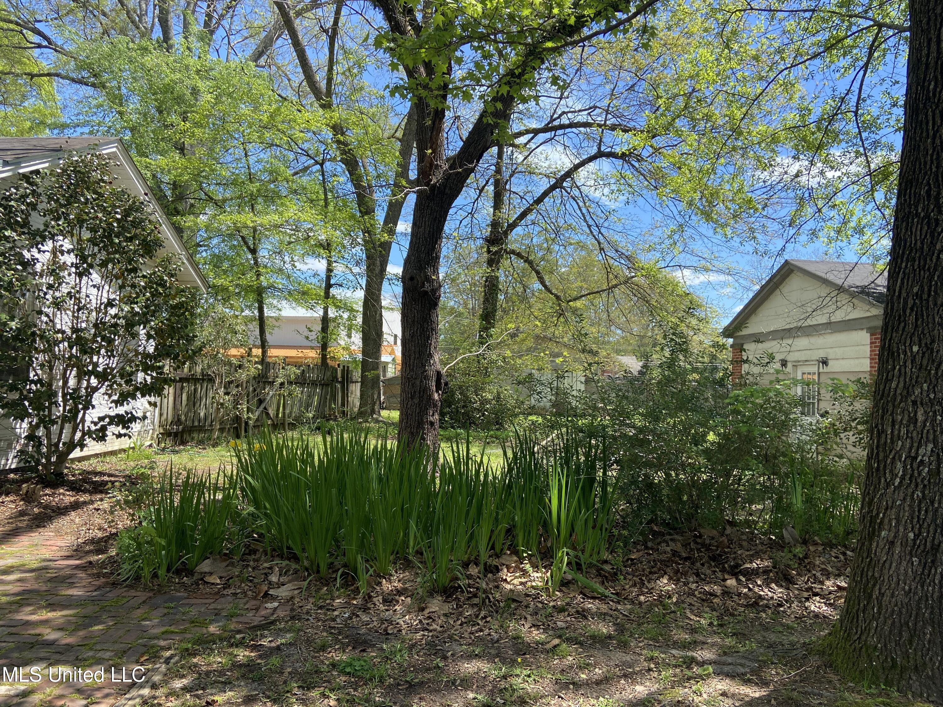 702 East Jackson Road Union, MS 39365 - Photo 10 of 12 IMG_6558