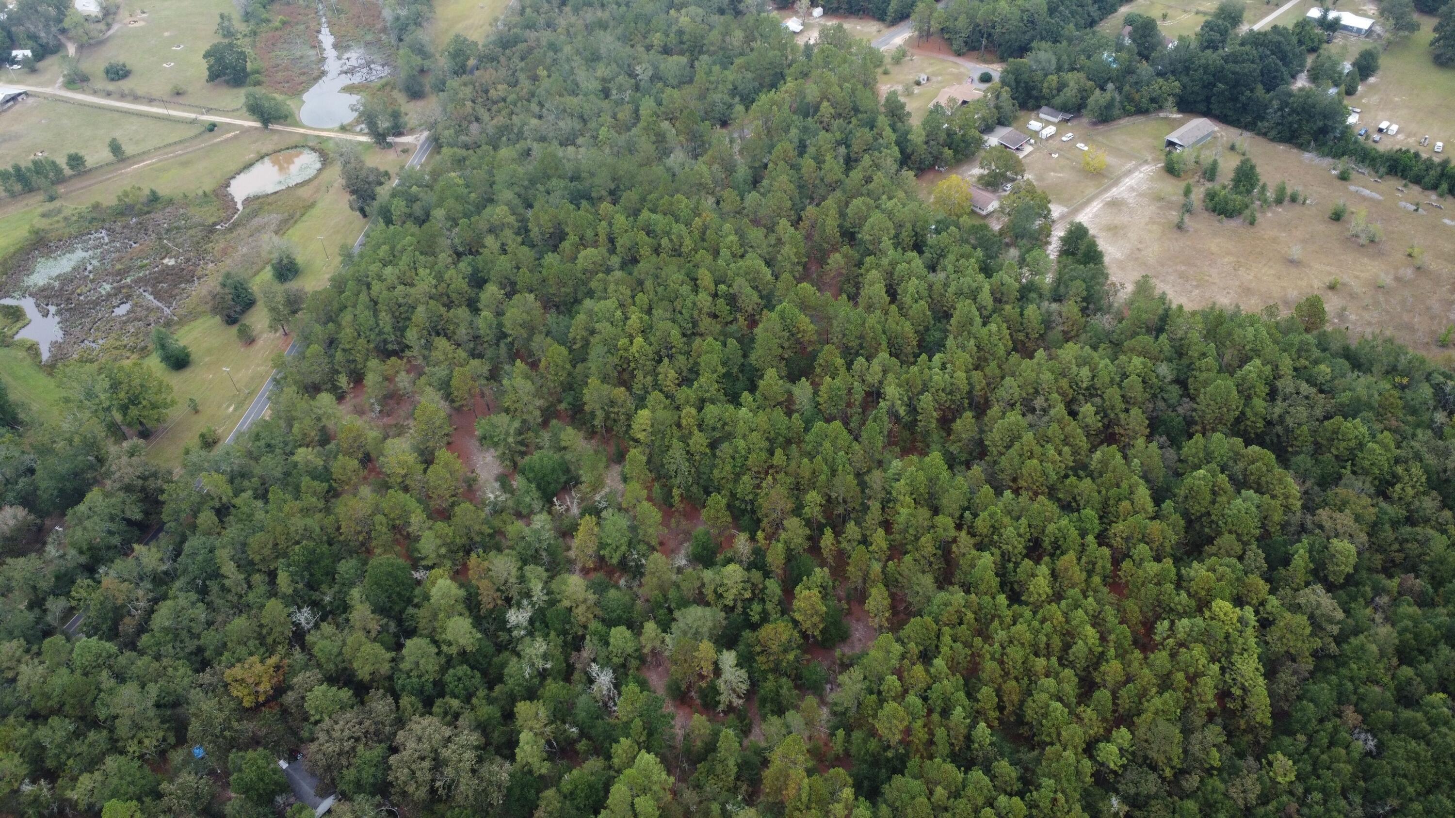 0 Holiness Church Road Wagener, SC 29164 - Photo 4 of 6
