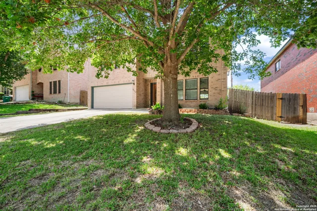 a backyard of a house with plants and large tree