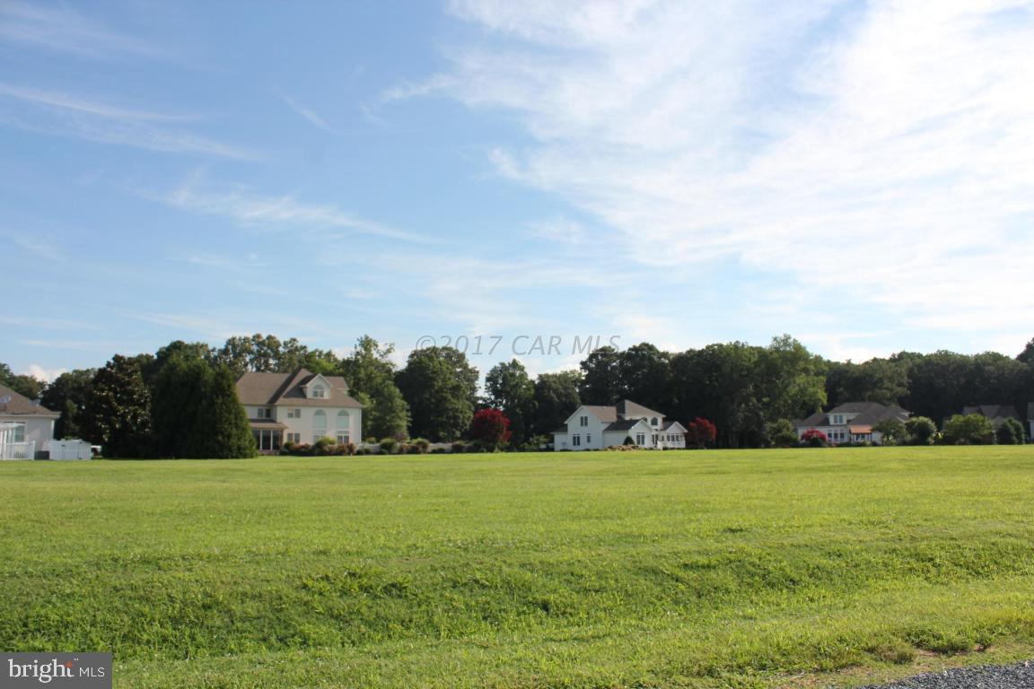 a view of a field with grass