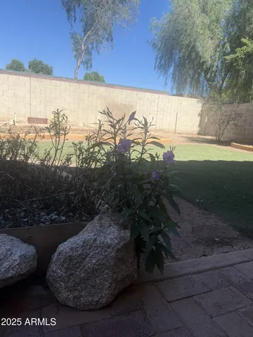 a view of a back yard