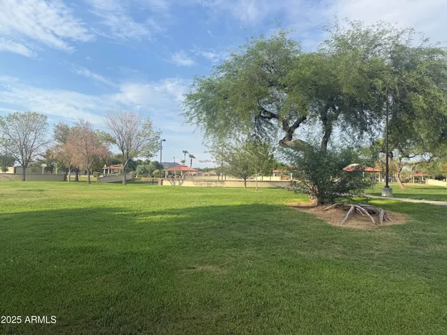 a view of a park with benches and a big yard