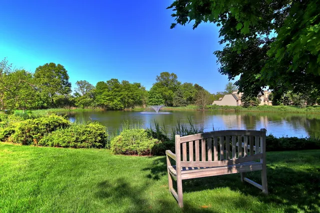 a view of a lake with a bench in a lake