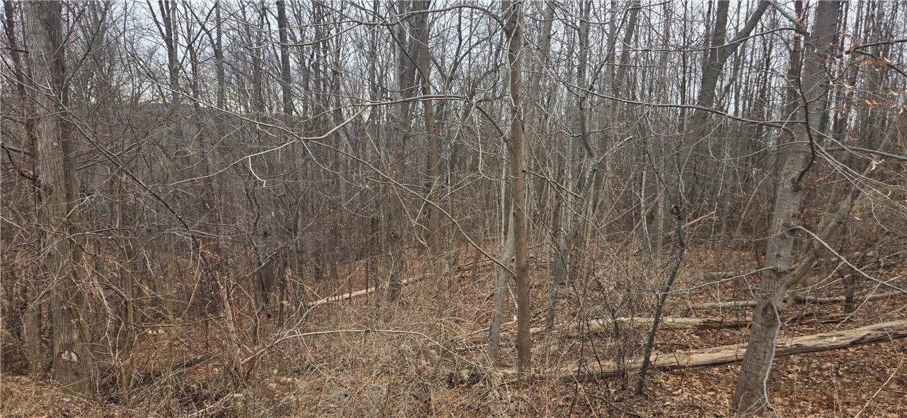 Cr-32 Road Canandaigua, NY 14424 - Photo 3 of 5