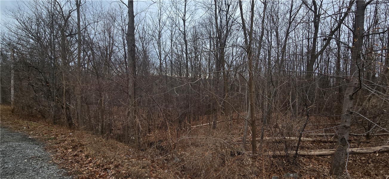 Cr-32 Road Canandaigua, NY 14424 - Photo 4 of 5