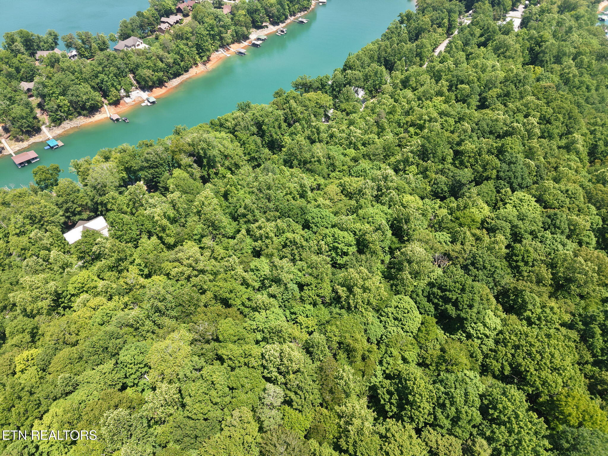 Yoakum Hollow Road Jacksboro, TN 37757 - Photo 14 of 17 11-web-or-mls-DJI_20260518131519_0027_D