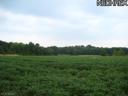 734 Akron Road Wadsworth, OH 44281 - Photo 10 of 20 Gallery Image 10