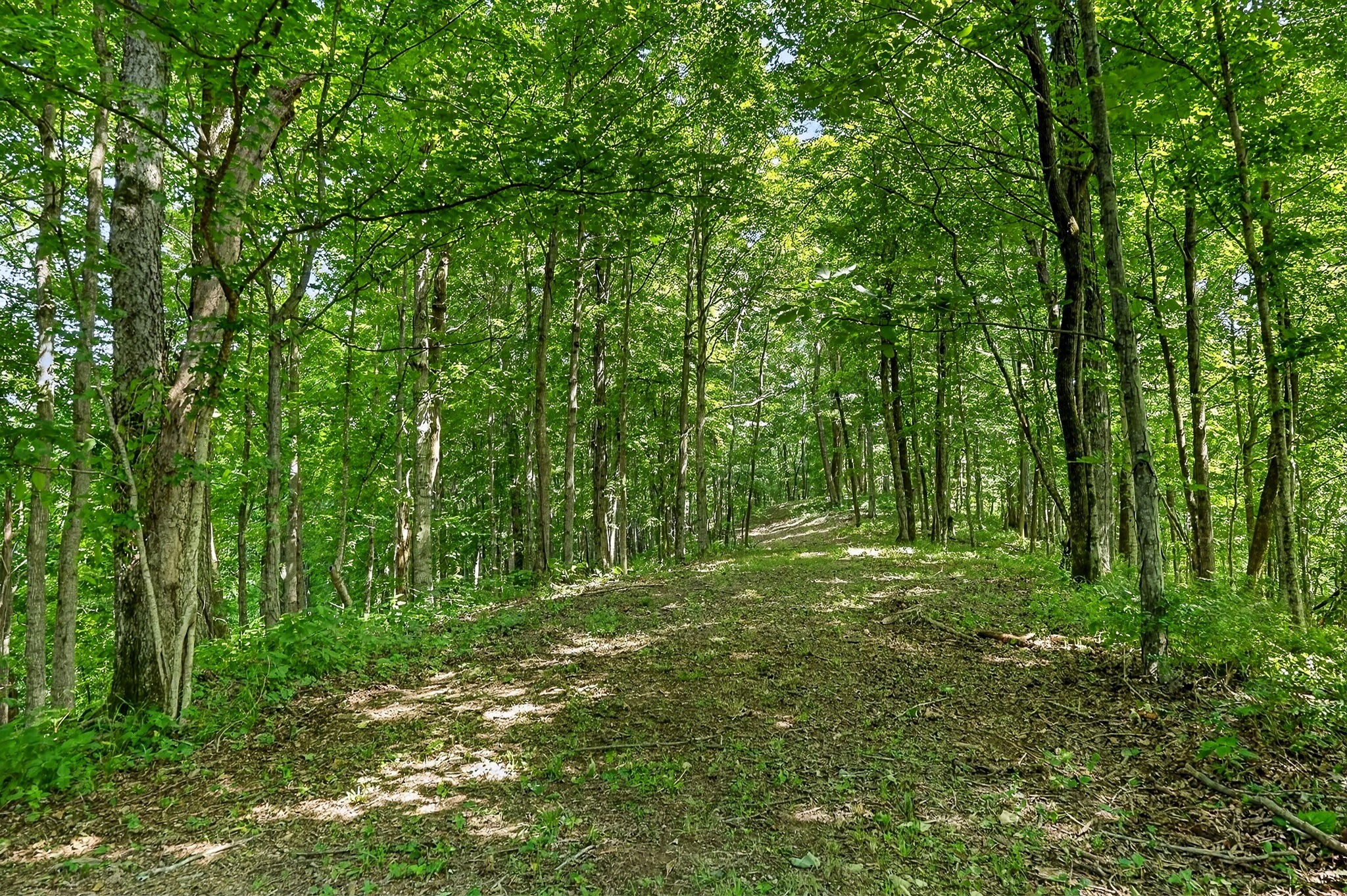 2926 Bryant Ridge Road Baxter, TN 38544 - Photo 35 of 64