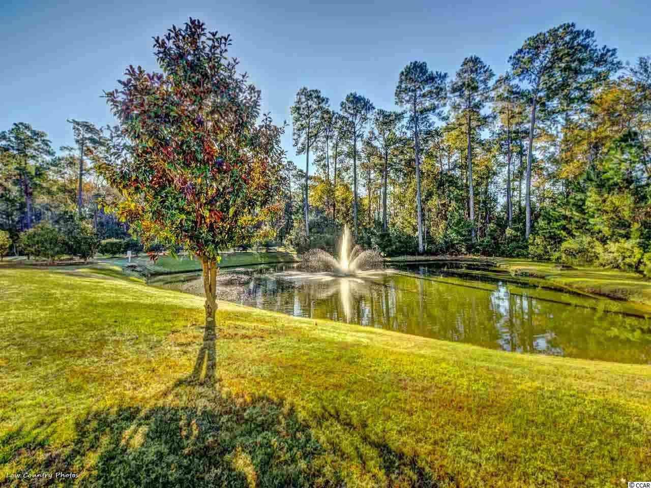 140 Coldstream Cove Loop, Unit 805 Murrells Inlet, SC 29576 - Photo 19 of 24 Gallery Image 19