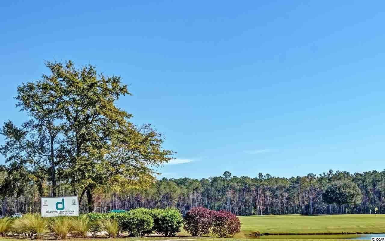 140 Coldstream Cove Loop, Unit 805 Murrells Inlet, SC 29576 - Photo 21 of 24 Gallery Image 21