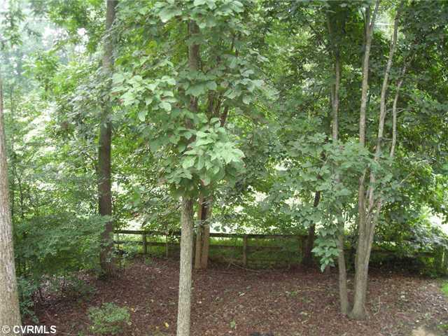12337 Logan Trace Road Midlothian, VA 23114 - Photo 14 of 15 Pastoral - Rear yard view