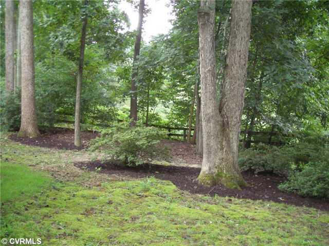 12337 Logan Trace Road Midlothian, VA 23114 - Photo 15 of 15 Yard/Garden - Another rear yard view.