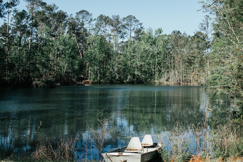 5723 Race Track Road Hahira, GA 31632 - Photo 8 of 17 Gallery Image 8