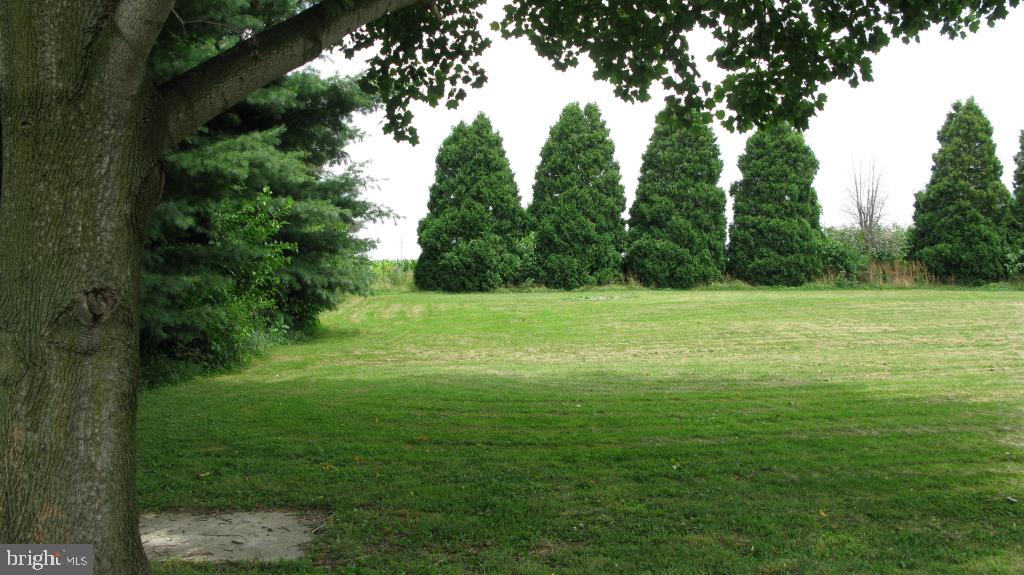 1726 Auction Road Manheim, PA 17545 - Photo 47 of 55