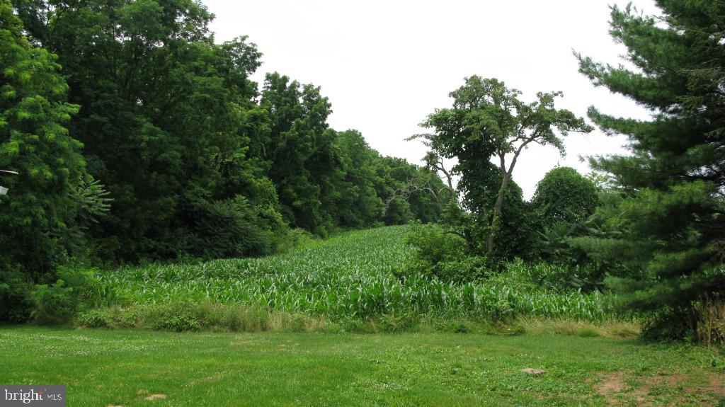 1726 Auction Road Manheim, PA 17545 - Photo 55 of 55