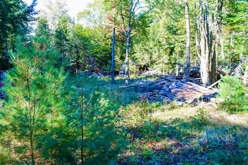 0 Smith Road Ellsworth, ME 04605 - Photo 13 of 17 IMG_8831-2