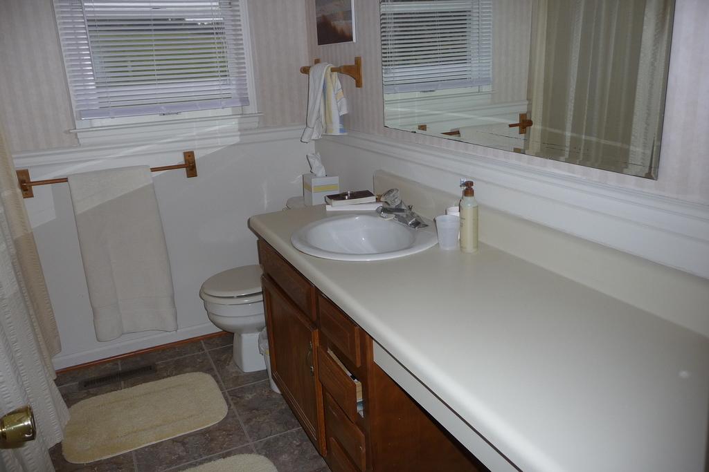 553 Farmers Road Fincastle, VA 24090 - Photo 7 of 8 Bath