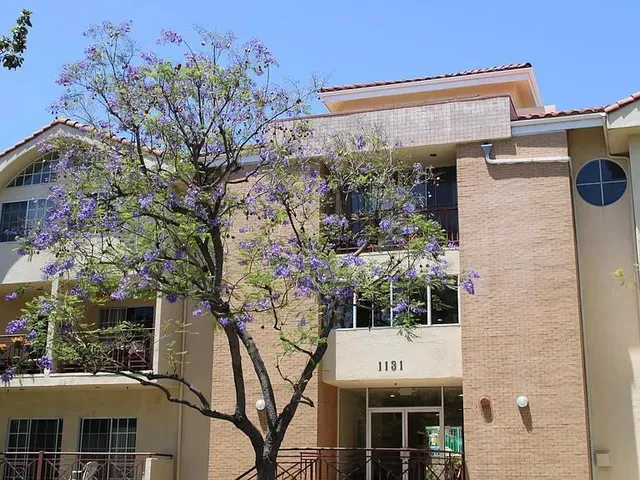 $3,190 | 1131 Campbell Street, Unit 212, Glendale, CA 91207