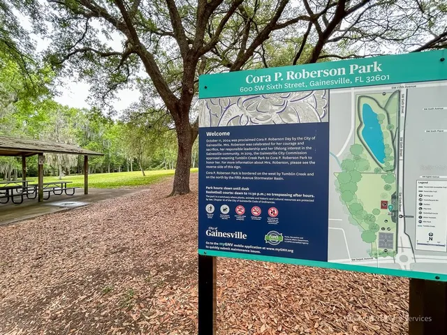 a view of a street sign under a large tree