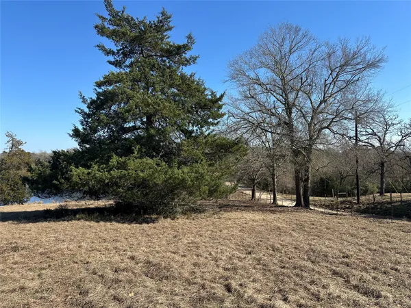 a view of a field with a tree in the background