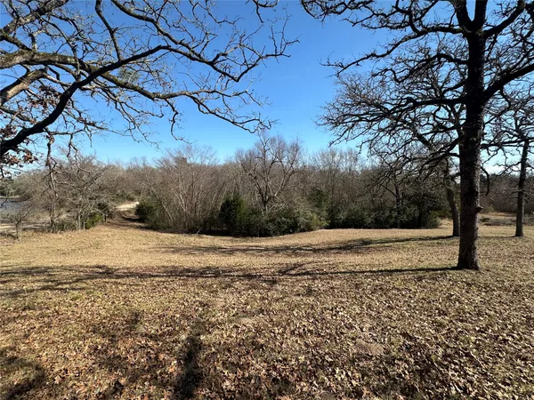 a view of a yard with a tree