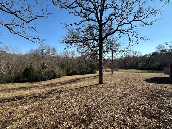 a view of road with large trees