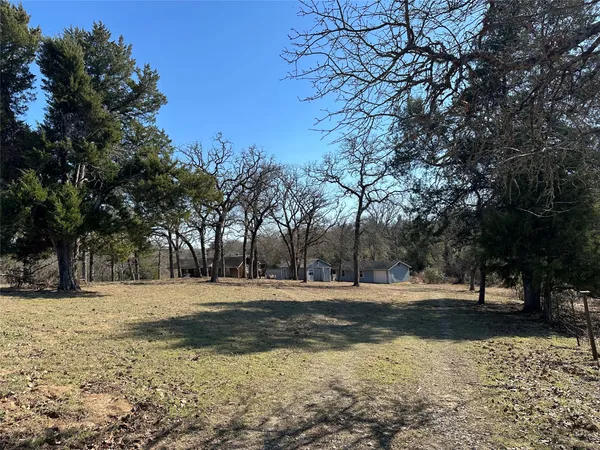 a view of a yard with large trees