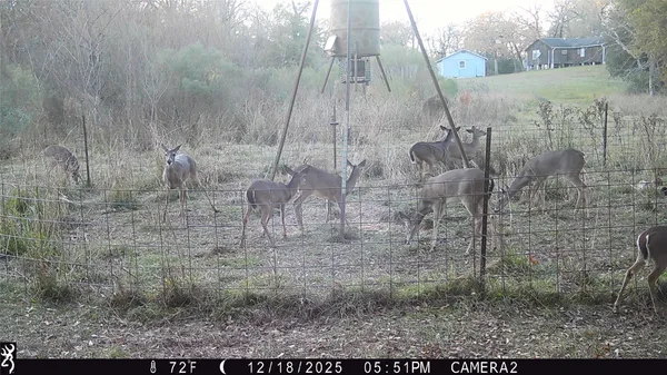 $500,000 | 14556 County Road 445, Marquez, TX 77865