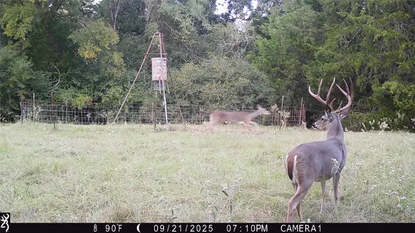 $500,000 | 14556 County Road 445, Marquez, TX 77865