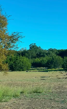 a view of a green field