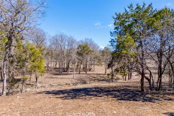 a view of a yard with a tree