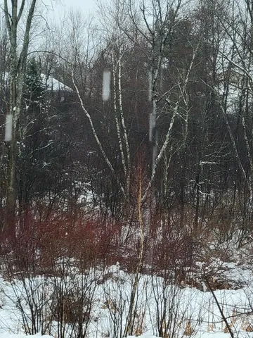 $8,000 | 163 Highway 1, Amity, ME 04471