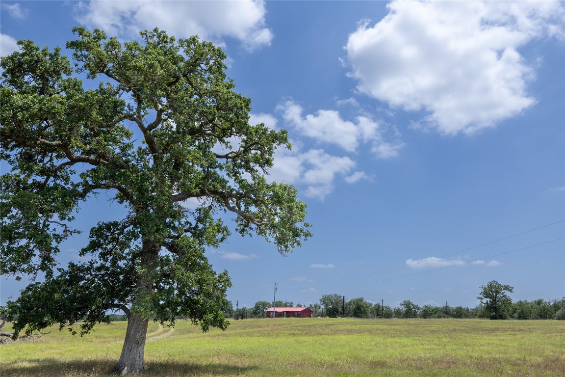 2901 B Mule Creek Road Harwood, TX 78632 - Photo 20 of 25 a view of a big yard with lots of green space